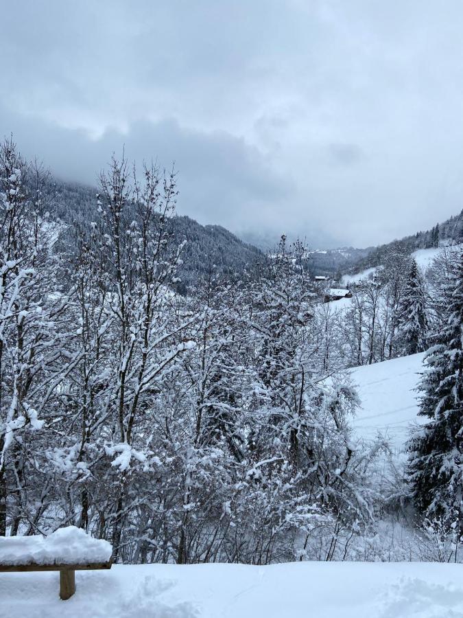 Chalet Soleya Le Grand-Bornand Exteriör bild